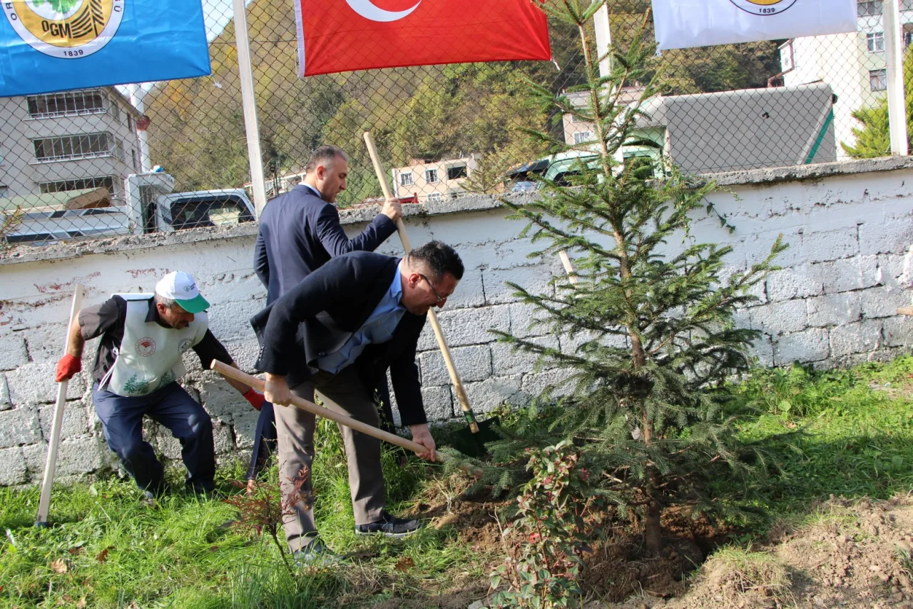 Dereli "Geleceğe Nefes" Oldu