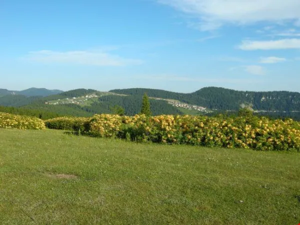 Kulakkaya Yaylası