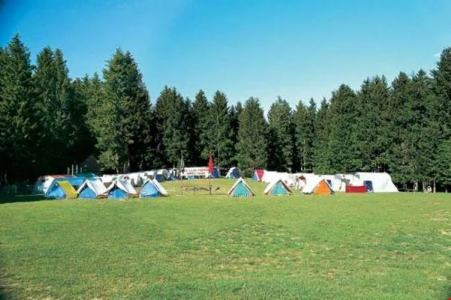 Salon Çayırı Piknik Alanı